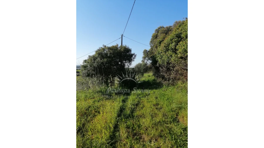 Terreno Misto para Venda em Santiago do Cacém, Santa Cruz e São Bartolomeu da Serra Foto 14