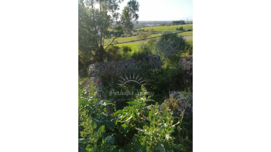 Terreno Misto para Venda em Santiago do Cacém, Santa Cruz e São Bartolomeu da Serra Foto 18
