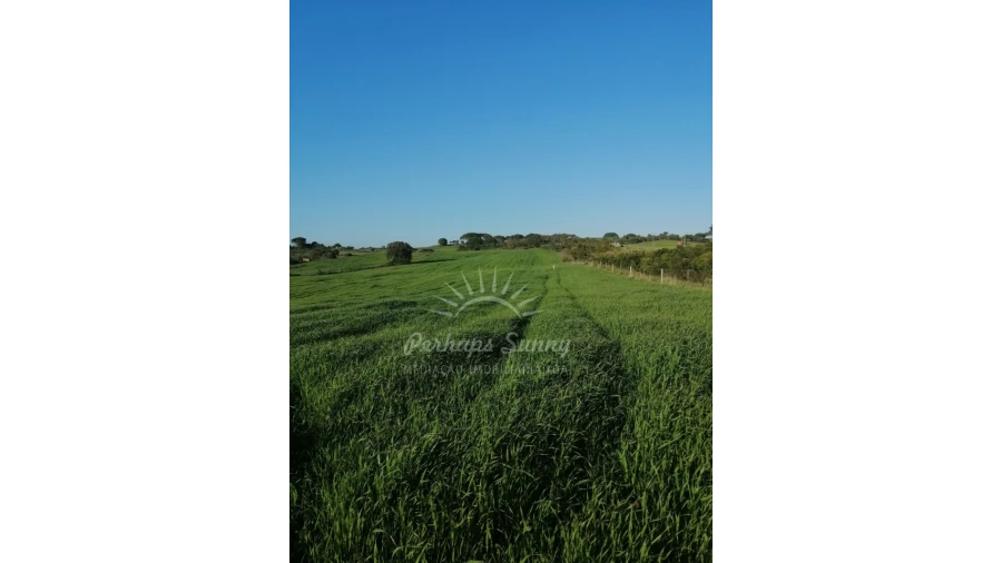 Terreno Misto para Venda em Santiago do Cacém, Santa Cruz e São Bartolomeu da Serra Foto 4