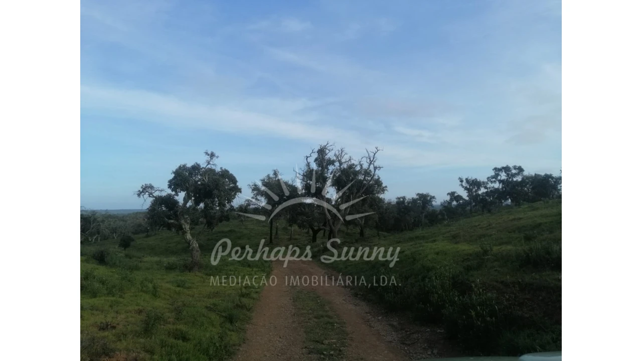 Terreno Agricola ou Rústico para Venda em São Francisco da Serra Foto 8