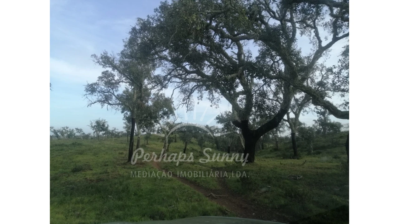 Terreno Agricola ou Rústico para Venda em São Francisco da Serra Foto 3