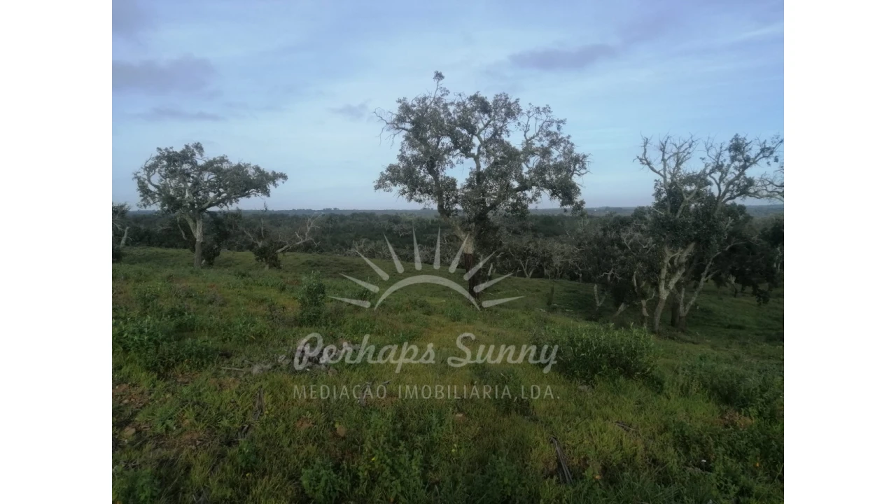 Terreno Agricola ou Rústico para Venda em São Francisco da Serra Foto 5