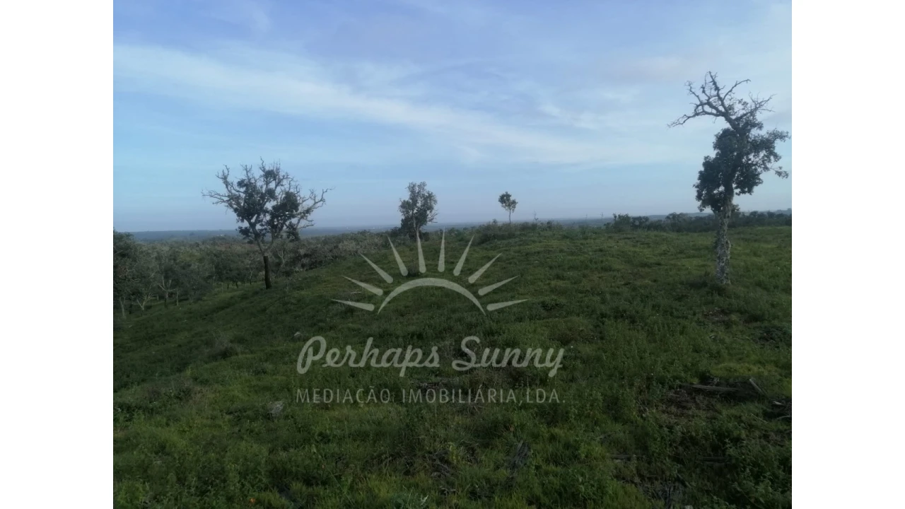 Terreno Agricola ou Rústico para Venda em São Francisco da Serra Foto 6