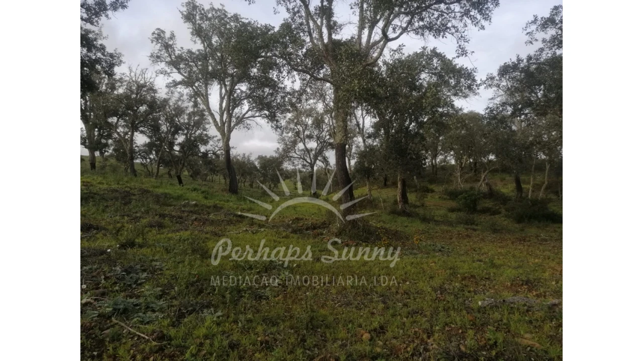 Terreno Agricola ou Rústico para Venda em São Francisco da Serra Foto 4