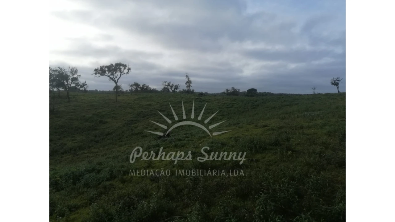 Terreno Agricola ou Rústico para Venda em São Francisco da Serra Foto 9