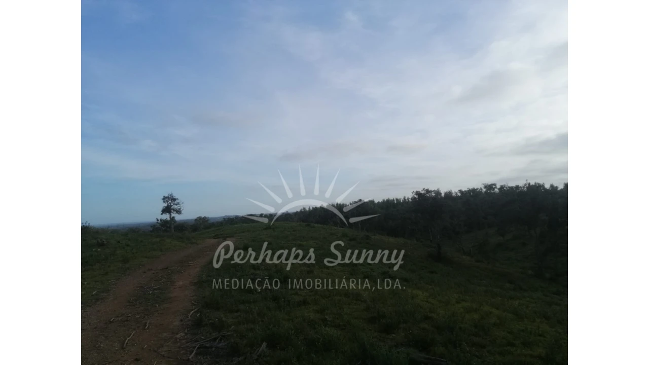 Terreno Agricola ou Rústico para Venda em São Francisco da Serra Foto 10