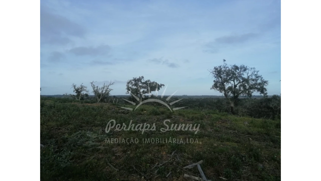 Terreno Agricola ou Rústico para Venda em São Francisco da Serra Foto 12