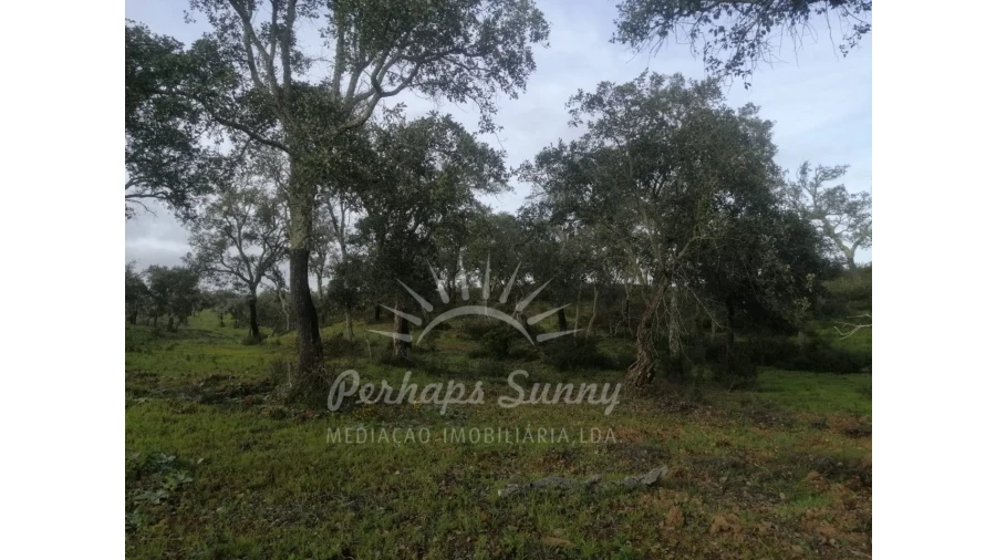Terreno Agricola ou Rústico para Venda em São Francisco da Serra Foto 1