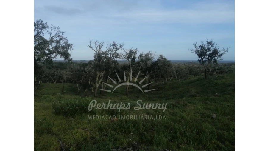 Terreno Agricola ou Rústico para Venda em São Francisco da Serra Foto 7