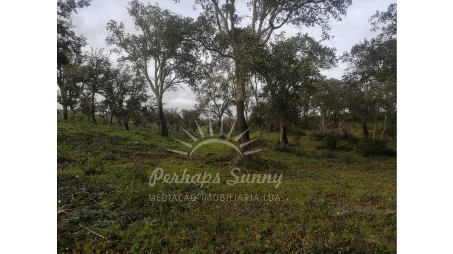 Terreno Agricola ou Rústico para Venda em São Francisco da Serra Foto 4