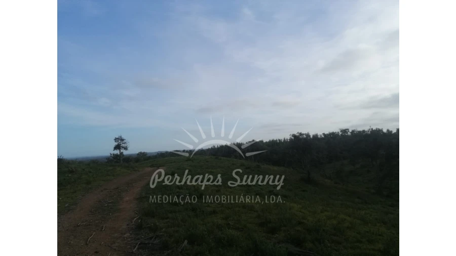 Terreno Agricola ou Rústico para Venda em São Francisco da Serra Foto 10