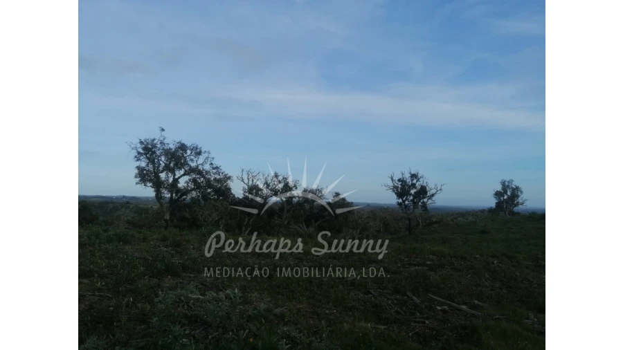Terreno Agricola ou Rústico para Venda em São Francisco da Serra Foto 11