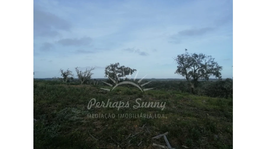 Terreno Agricola ou Rústico para Venda em São Francisco da Serra Foto 12