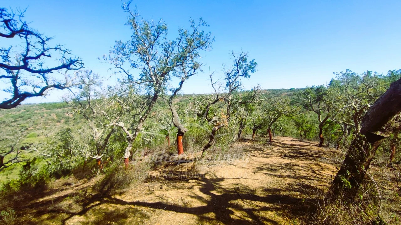 Terreno Agricola ou Rústico para Venda em São Francisco da Serra Foto 1