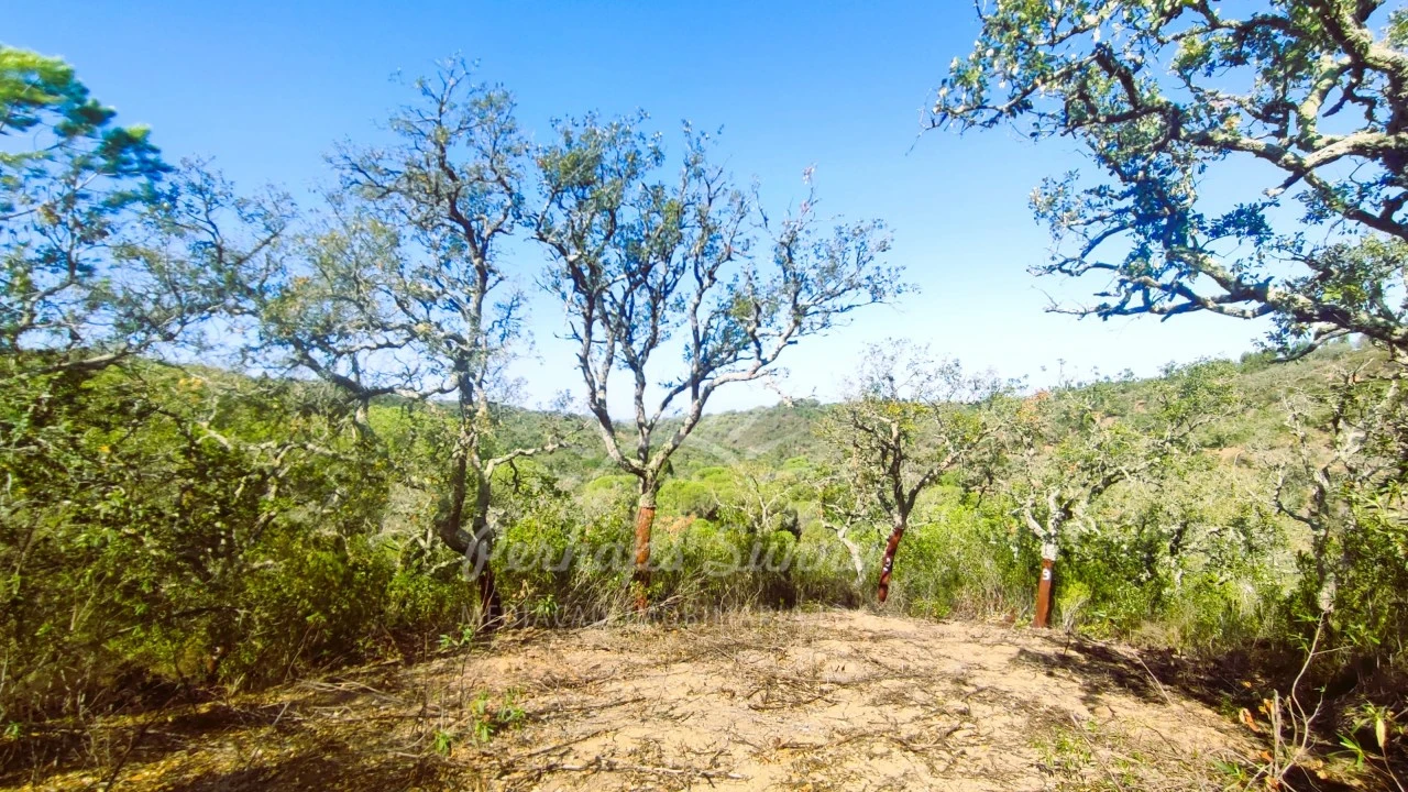 Terreno Agricola ou Rústico para Venda em São Francisco da Serra Foto 4