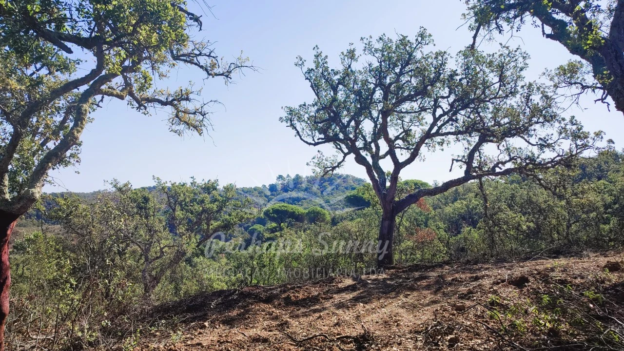 Terreno Agricola ou Rústico para Venda em São Francisco da Serra Foto 7
