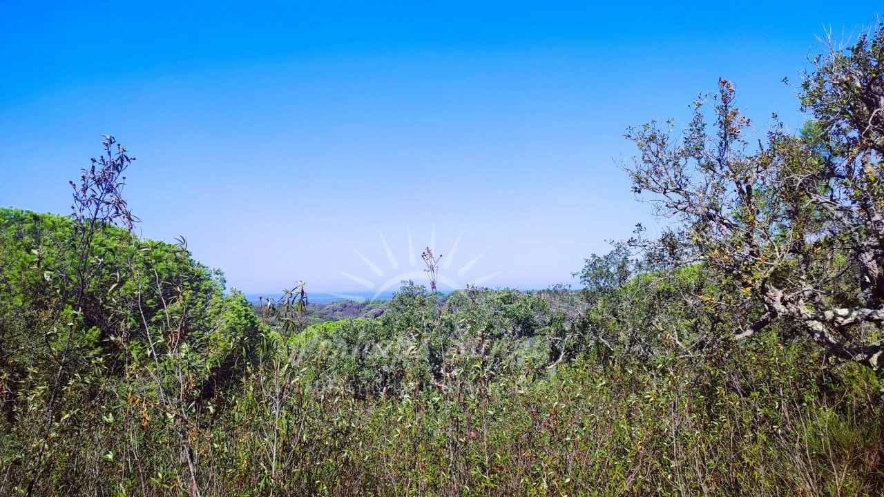 Terreno Agricola ou Rústico para Venda em São Francisco da Serra Foto 13