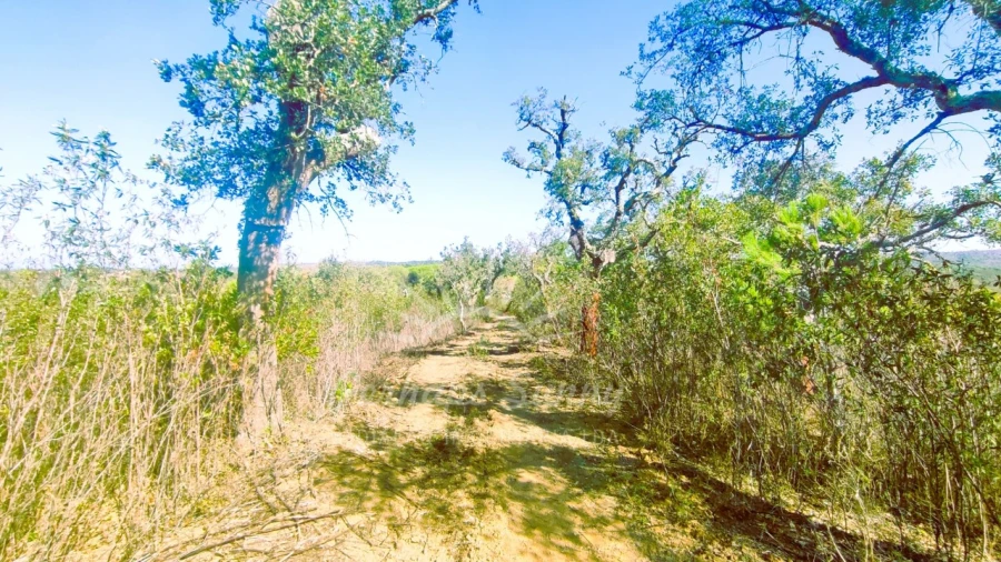 Terreno Agricola ou Rústico para Venda em São Francisco da Serra Foto 2