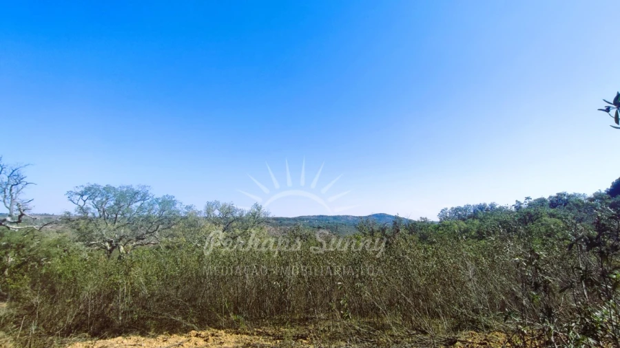 Terreno Agricola ou Rústico para Venda em São Francisco da Serra Foto 10