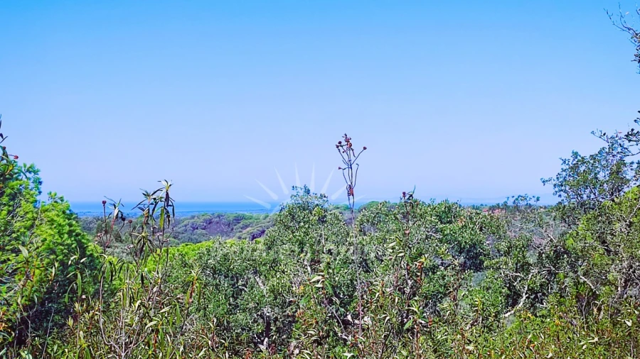 Terreno Agricola ou Rústico para Venda em São Francisco da Serra Foto 11