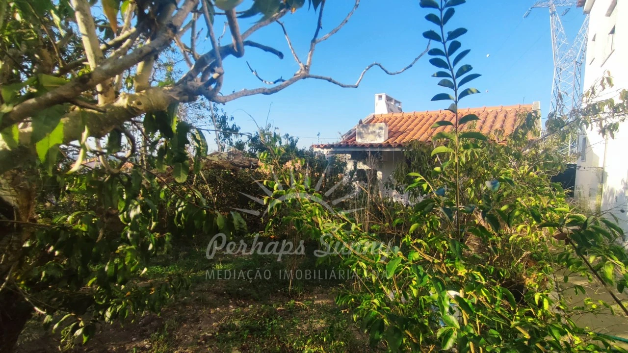 Moradia T8 para Venda em Melides Foto 25
