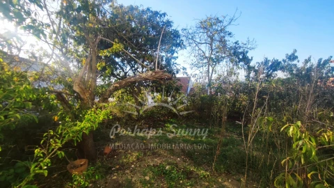 Moradia T8 para Venda em Melides