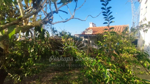Moradia T8 para Venda em Melides