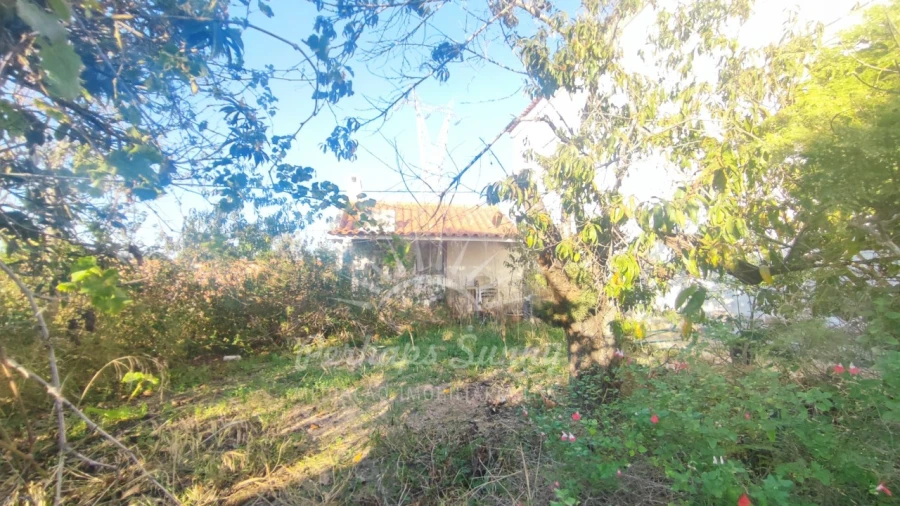 Moradia T8 para Venda em Melides Foto 21
