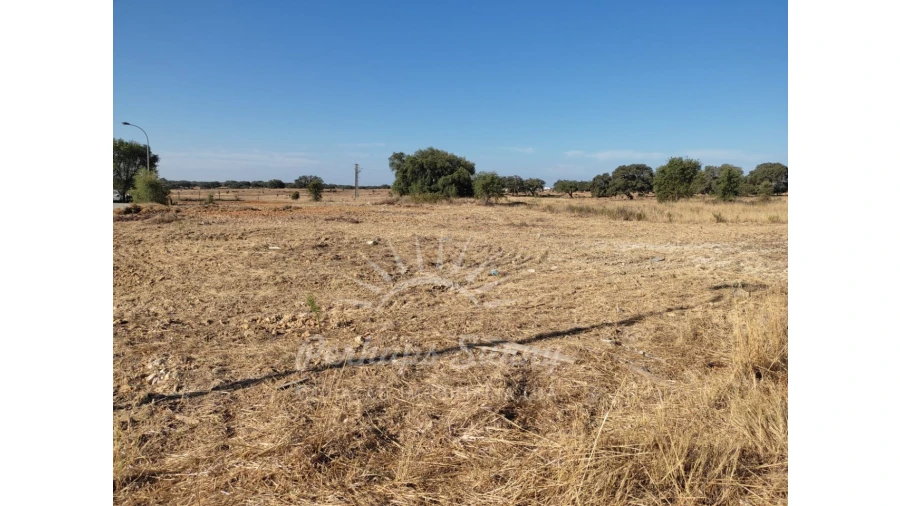 Terreno para Venda em Ermidas-Sado Foto 3