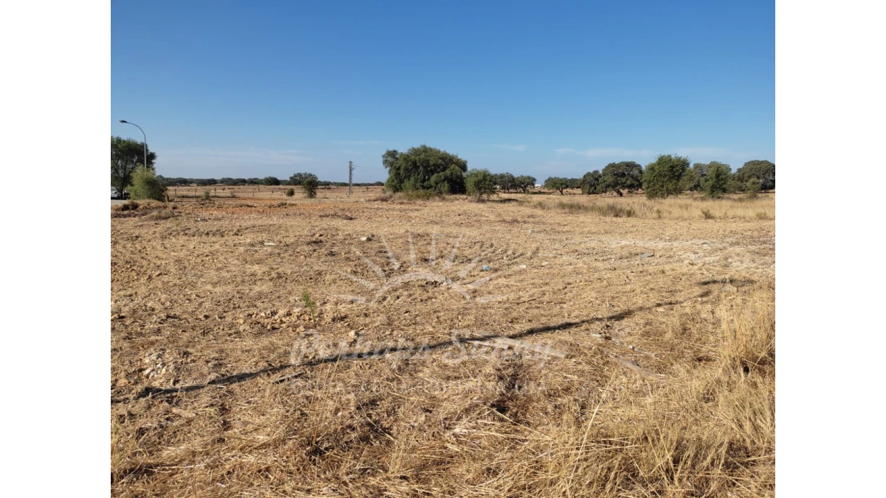 Terreno para Venda em Ermidas-Sado Foto 4