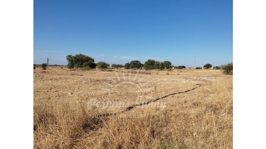 Terreno para Venda em Ermidas-Sado Foto 5