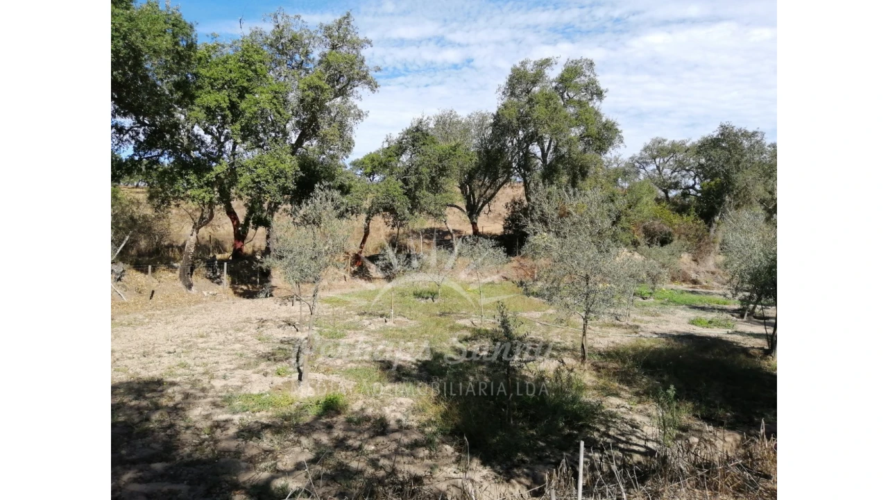 Terreno Misto para Venda em Grândola e Santa Margarida da Serra Foto 6