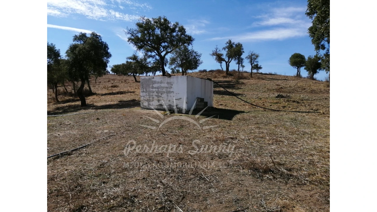 Terreno Misto para Venda em Grândola e Santa Margarida da Serra Foto 9