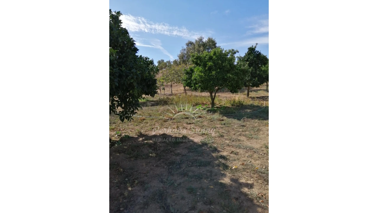 Terreno Misto para Venda em Grândola e Santa Margarida da Serra Foto 12