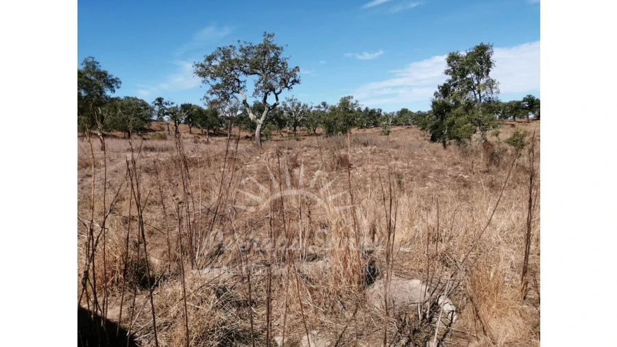 Terreno Misto para Venda em Grândola e Santa Margarida da Serra Foto 4