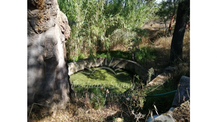 Terreno Misto para Venda em Grândola e Santa Margarida da Serra Foto 5
