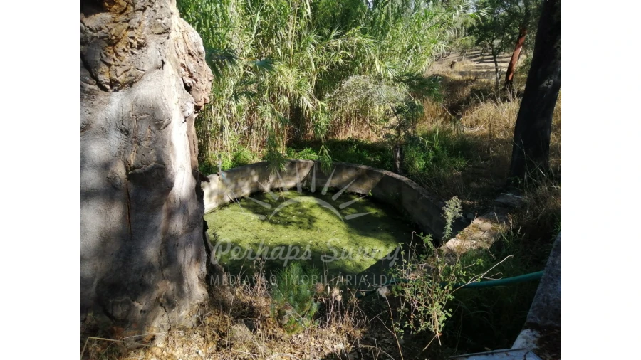 Terreno Misto para Venda em Grândola e Santa Margarida da Serra Foto 7