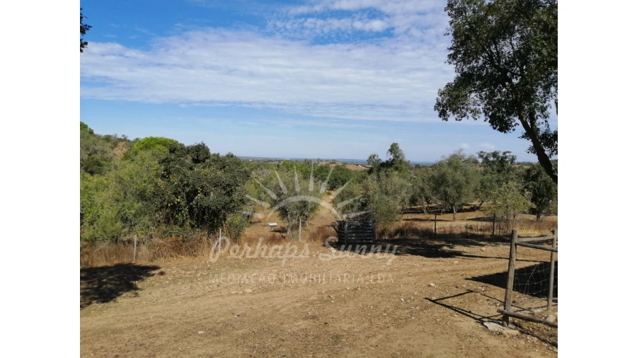 Terreno Misto para Venda em Grândola e Santa Margarida da Serra Foto 8