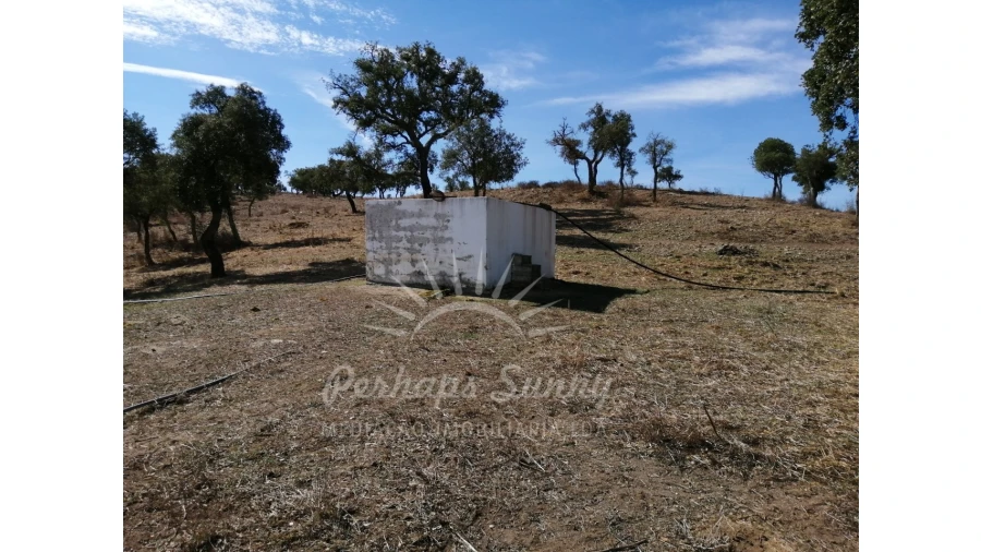 Terreno Misto para Venda em Grândola e Santa Margarida da Serra Foto 9