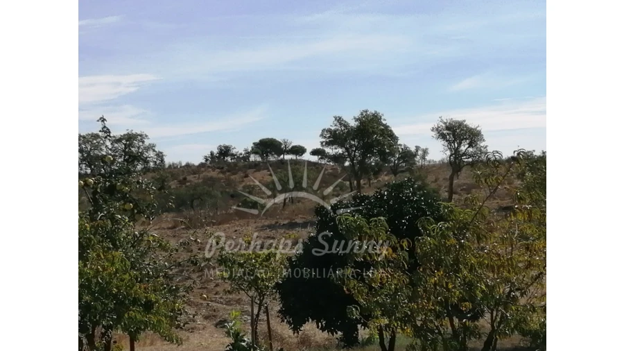 Terreno Misto para Venda em Grândola e Santa Margarida da Serra Foto 11