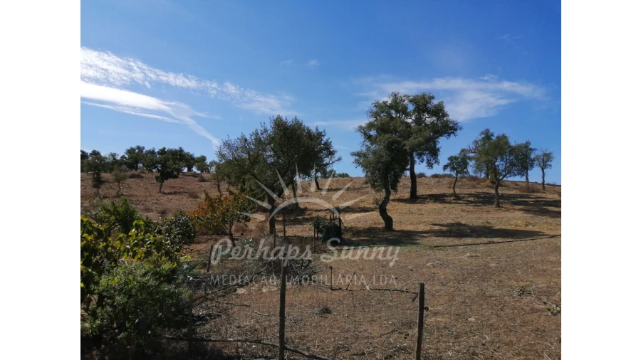 Terreno Misto para Venda em Grândola e Santa Margarida da Serra Foto 13