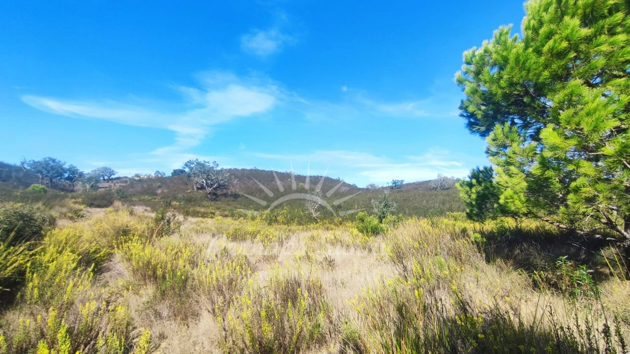 Terreno Agricola ou Rústico para Venda em Santiago do Cacém, Santa Cruz e São Bartolomeu da Serra Foto 1