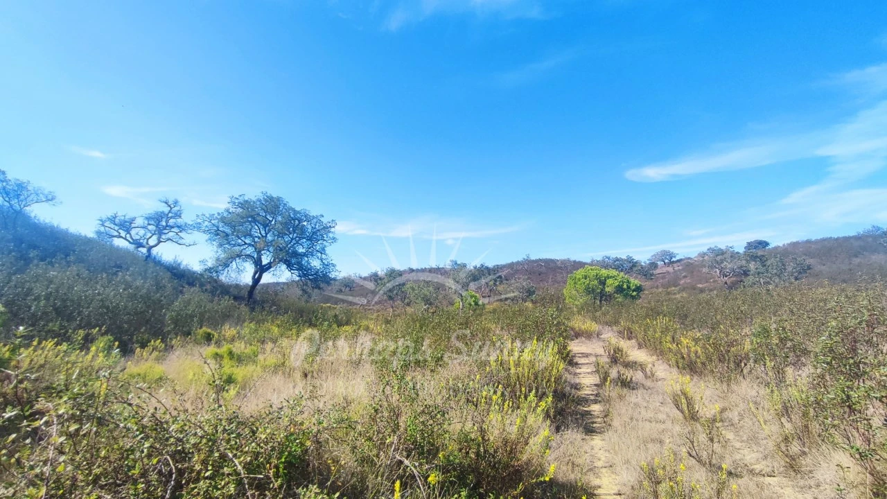 Terreno Agricola ou Rústico para Venda em Santiago do Cacém, Santa Cruz e São Bartolomeu da Serra Foto 3