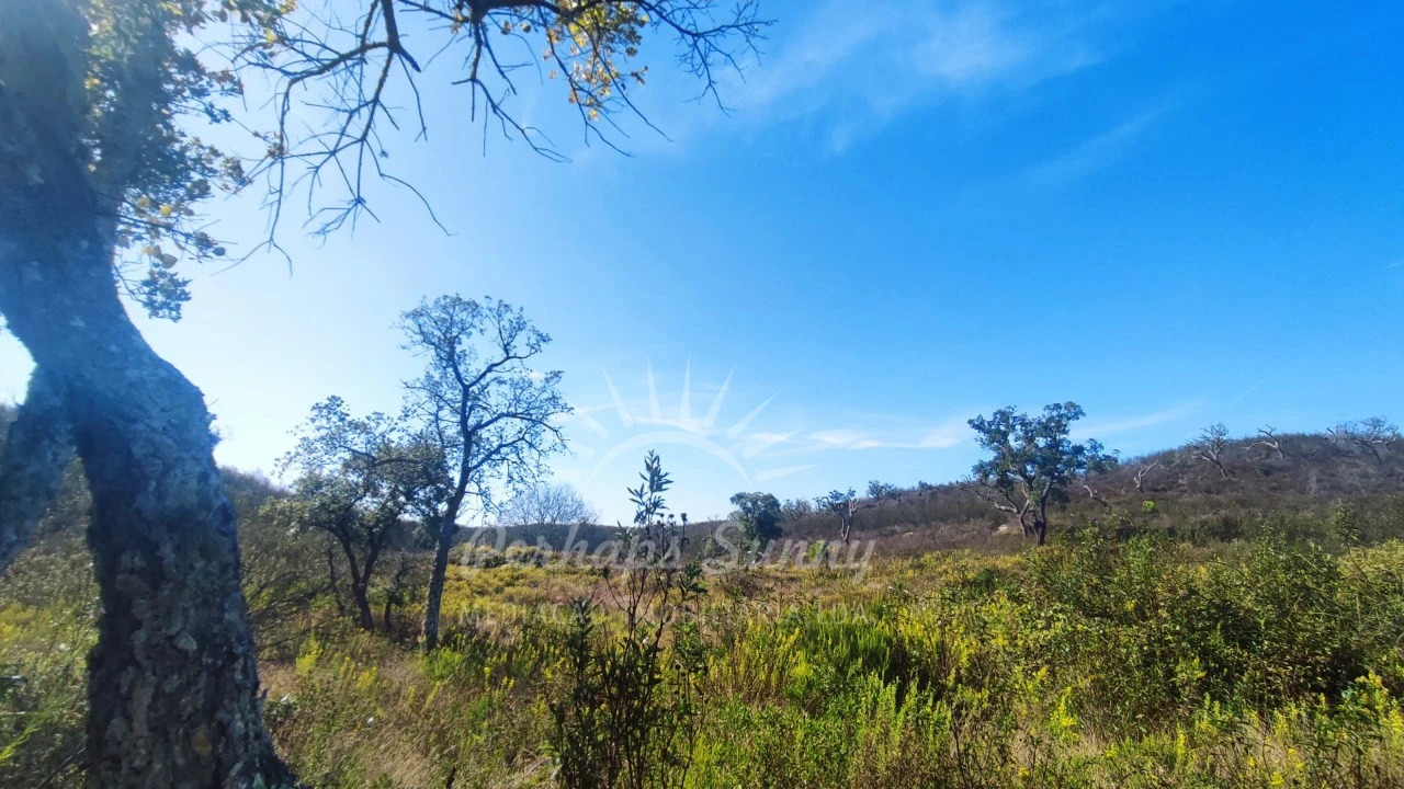 Terreno Agricola ou Rústico para Venda em Santiago do Cacém, Santa Cruz e São Bartolomeu da Serra Foto 5