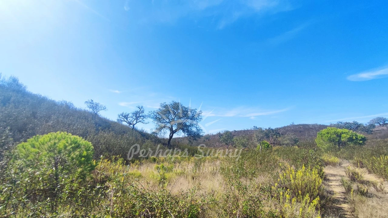 Terreno Agricola ou Rústico para Venda em Santiago do Cacém, Santa Cruz e São Bartolomeu da Serra Foto 6