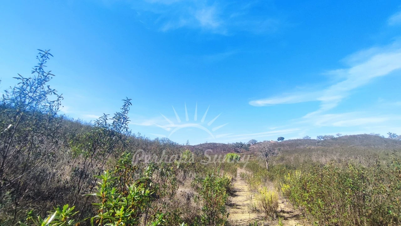 Terreno Agricola ou Rústico para Venda em Santiago do Cacém, Santa Cruz e São Bartolomeu da Serra Foto 9