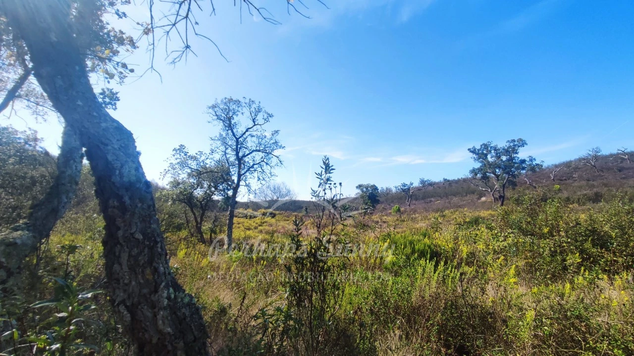 Terreno Agricola ou Rústico para Venda em Santiago do Cacém, Santa Cruz e São Bartolomeu da Serra Foto 10