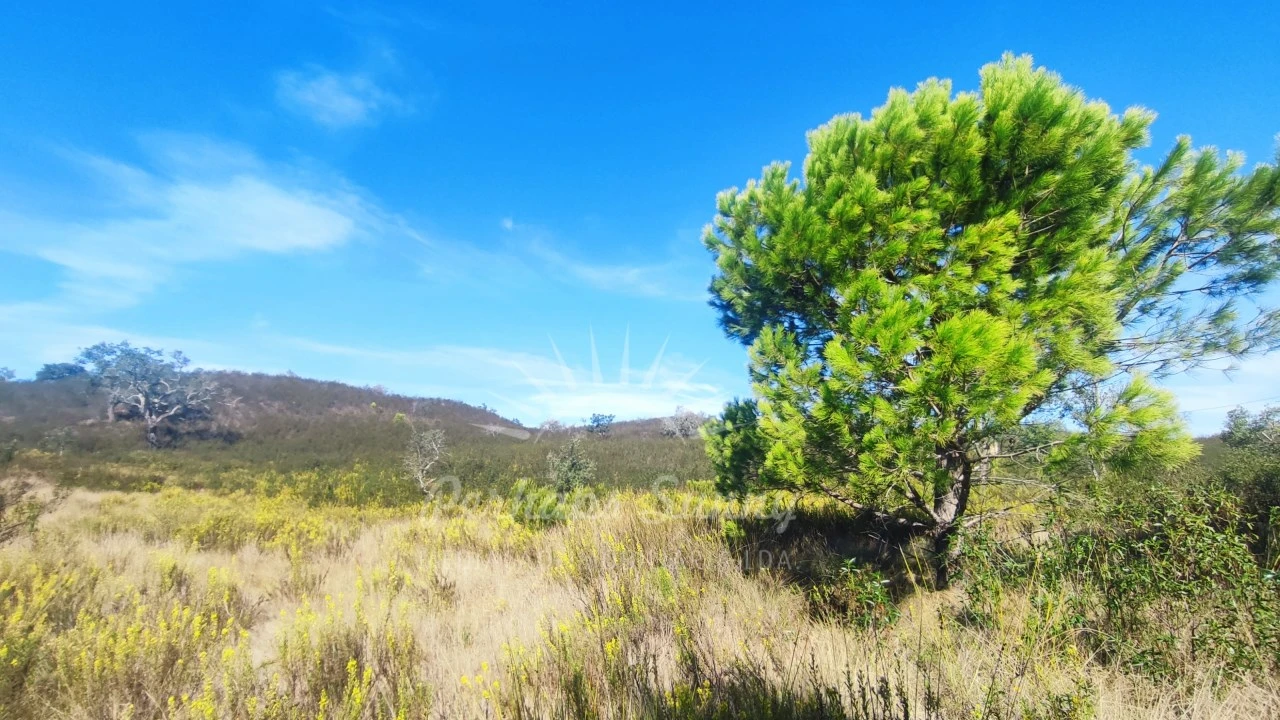 Terreno Agricola ou Rústico para Venda em Santiago do Cacém, Santa Cruz e São Bartolomeu da Serra Foto 11