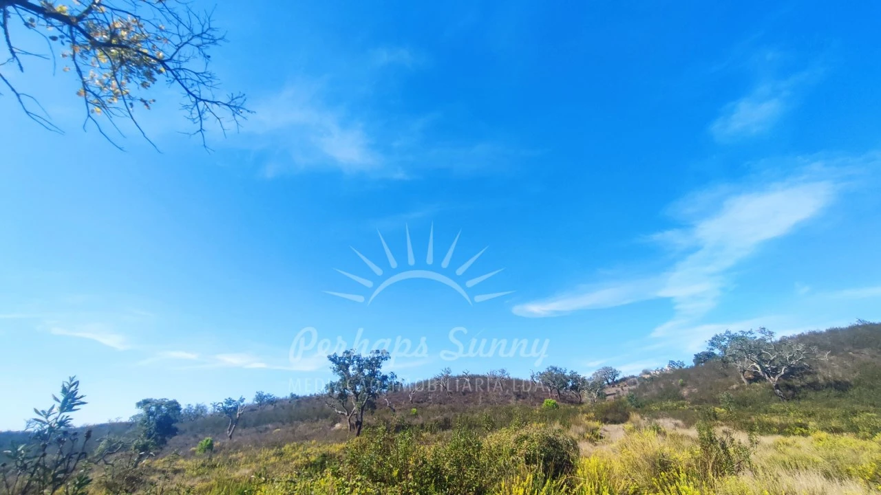 Terreno Agricola ou Rústico para Venda em Santiago do Cacém, Santa Cruz e São Bartolomeu da Serra Foto 13