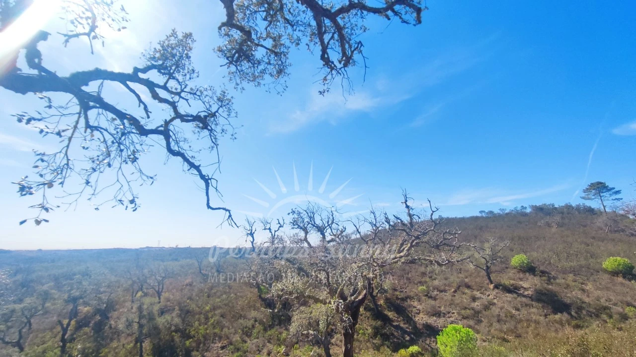 Terreno Agricola ou Rústico para Venda em Santiago do Cacém, Santa Cruz e São Bartolomeu da Serra Foto 17
